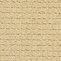 Dixie Home Carpet Arena G5285 29444