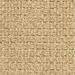 Dixie Home Carpet Arena G5285 29448