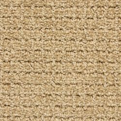 Dixie Home Carpet Arena G5285 29449