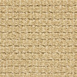 Dixie Home Carpet Arena G5285 29465