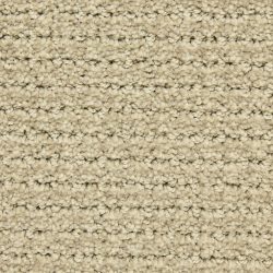Dixie Home Carpet Arena G5285 29477