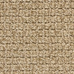 Dixie Home Carpet Arena G5285 29478