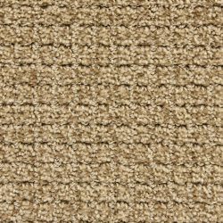 Dixie Home Carpet Arena G5285 29481