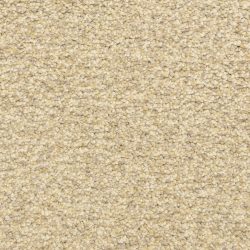 Dixie Home Carpet Colorworks G5287 10119