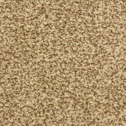 Dixie Home Carpet Colorworks G5287 70422