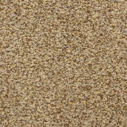 Dixie Home Carpet Colorworks G5287 70523