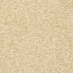 Dixie Home Carpet Color Festival G5288 10011
