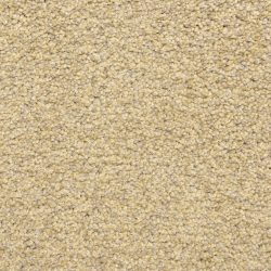 Dixie Home Carpet Color Festival G5288 20220