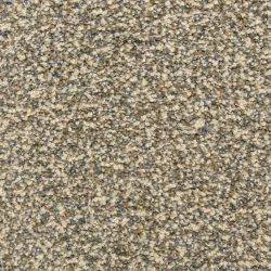 Dixie Home Carpet Color Festival G5288 60927