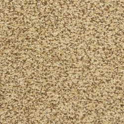 Dixie Home Carpet Color Festival G5288 70321