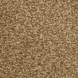 Dixie Home Carpet Color Festival G5288 70624