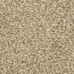 Dixie Home Carpet Color Festival G5288 80725