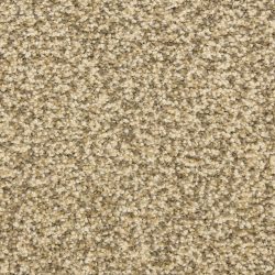 Dixie Home Carpet Color Festival G5288 80826
