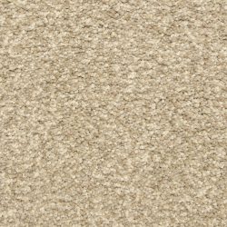 Dixie Home Carpet Color Festival G5288 80857
