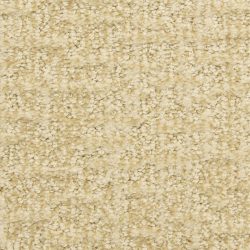 Dixie Home Carpet Aspects  G5289 22059