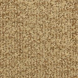 Dixie Home Carpet Aspects  G5289 32041