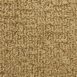 Dixie Home Carpet Aspects  G5289 32046