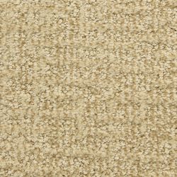 Dixie Home Carpet Aspects  G5289 32047