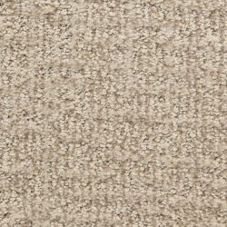 Dixie Home Carpet Aspects  G5289 32049