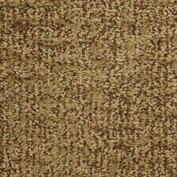 Dixie Home Carpet Aspects  G5289 32053