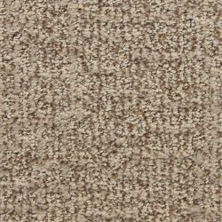 Dixie Home Carpet Aspects  G5289 32055