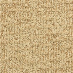 Dixie Home Carpet Aspects  G5289 32058