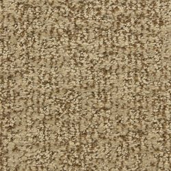Dixie Home Carpet Aspects  G5289 32060