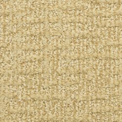 Dixie Home Carpet Aspects  G5289 42052