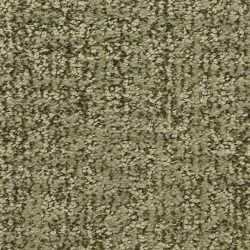 Dixie Home Carpet Aspects  G5289 52045