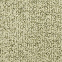 Dixie Home Carpet Aspects  G5289 52063