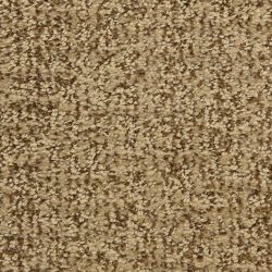 Dixie Home Carpet Aspects  G5289 72048