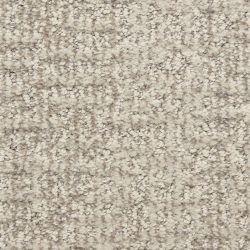 Dixie Home Carpet Aspects  G5289 82056