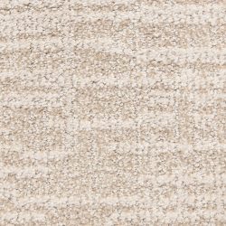 Dixie Home Carpet Expressions G5290 12061