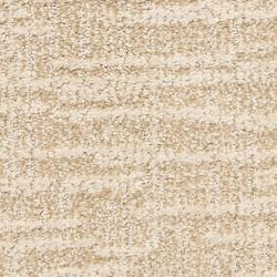 Dixie Home Carpet Expressions G5290 22042