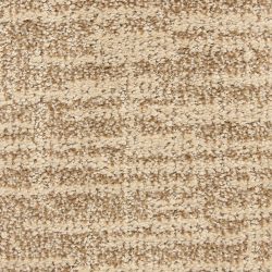Dixie Home Carpet Expressions G5290 32041