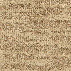 Dixie Home Carpet Expressions G5290 32046
