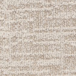 Dixie Home Carpet Expressions G5290 32049