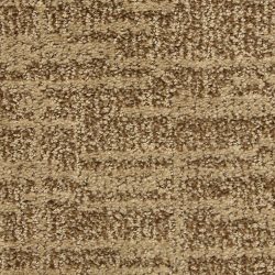 Dixie Home Carpet Expressions G5290 32053