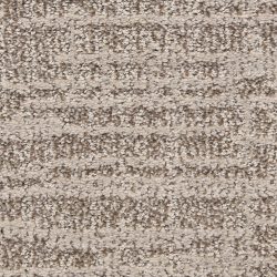 Dixie Home Carpet Expressions G5290 32055
