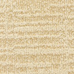 Dixie Home Carpet Expressions G5290 42052