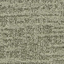 Dixie Home Carpet Expressions G5290 52045