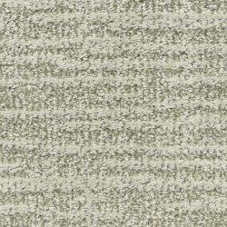 Dixie Home Carpet Expressions G5290 52051