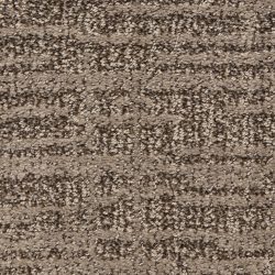 Dixie Home Carpet Expressions G5290 72043