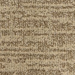 Dixie Home Carpet Expressions G5290 72048