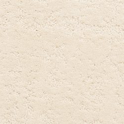 Dixie Home Carpet Classic Demeanor G5291 12248