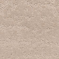 Dixie Home Carpet Classic Demeanor G5291 22237