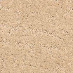 Dixie Home Carpet Classic Demeanor G5291 22242