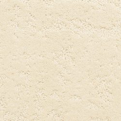 Dixie Home Carpet Classic Demeanor G5291 22253