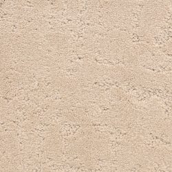 Dixie Home Carpet Classic Demeanor G5291 22255