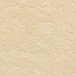 Dixie Home Carpet Classic Demeanor G5291 22259